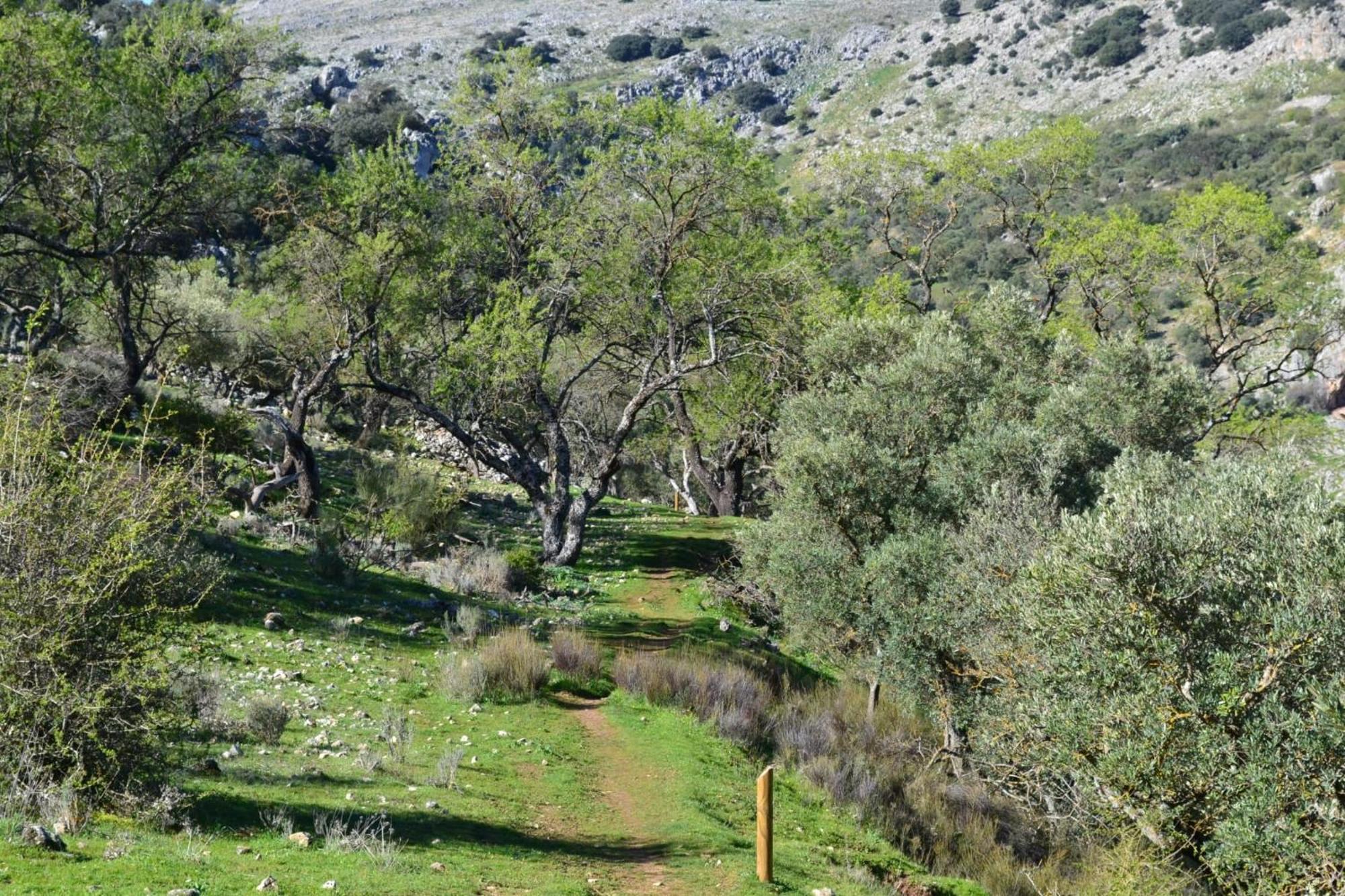 הוילה זוהרוס Casa Isabel מראה חיצוני תמונה