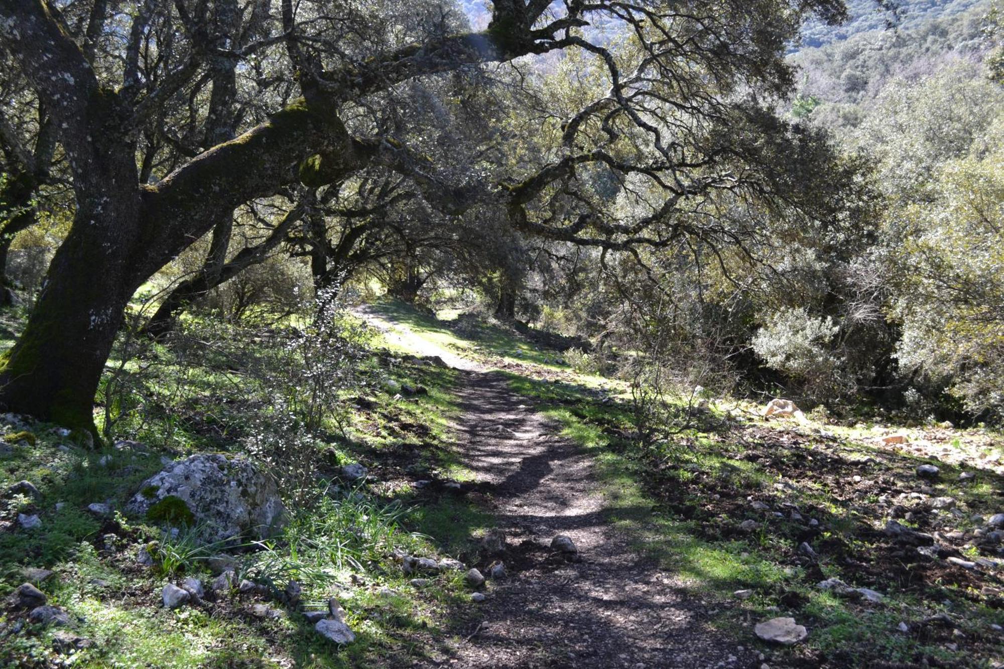 הוילה זוהרוס Casa Isabel מראה חיצוני תמונה